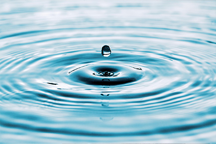 こだわりポイント画像1